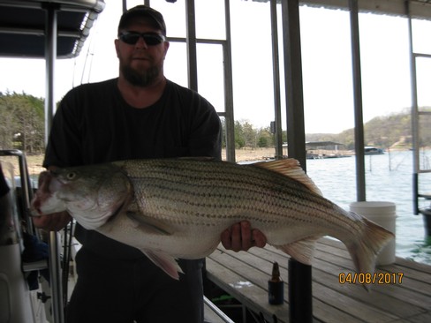 Nice Striped Bass